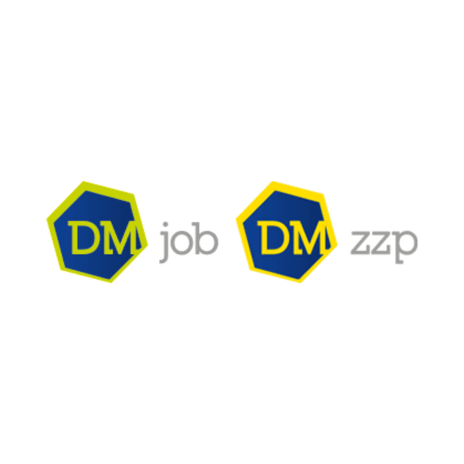 DM job DM zzp